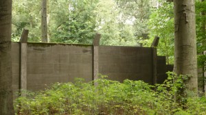 Überreste der innerdeutschen Grenze im Lauerholz